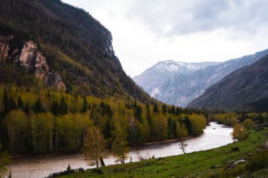 ağaçlar, tepeler ve nehir ile Altay Dağları'nın inanılmaz manzara Vadisi