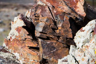 Taş doku ve arka plan kapatın. Rock doku