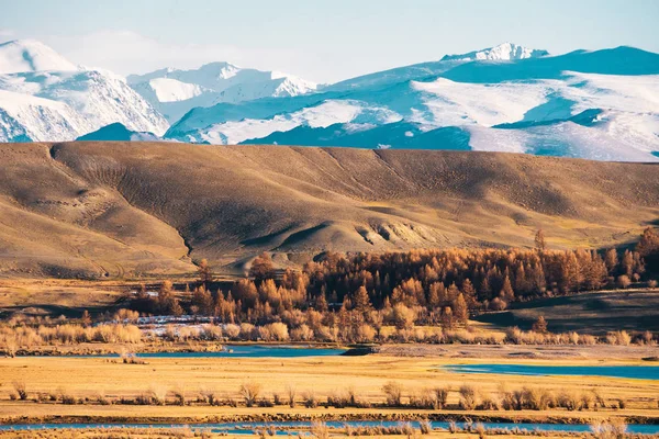 Increíble paisaje de la zona de la estepa con lagos y árboles que se convierten suavemente en montañas con picos nevados. Montañas de Altai — Foto de Stock
