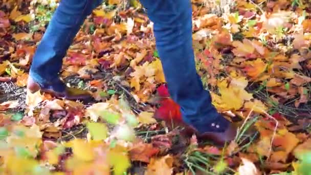 Stóp Man walking na jesieni pozostawia na zewnątrz natura sezon jesień na tle. Lifestyle moda modny styl — Wideo stockowe
