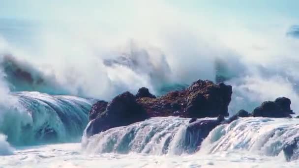 Pared de agua y olas turbulentas del océano Pacífico y belleza escarpada de rocas de basalto arrecife y cavidad de cayo — Vídeo de stock