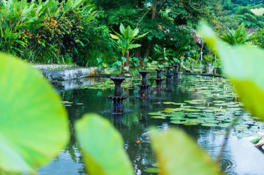 Endonezya, Bali, Ocak 2019: Bali Panorama Tirtagangga Taman Ujung su Sarayı