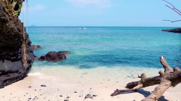 Тропический райский пляж с белым песком и упавшим деревом. туризм широкий панорамный фон концепции — стоковое видео