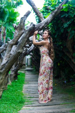 güzel bir genç kadın seksi elbise giyen yağmur ormanlarında ağacına yaslanmış