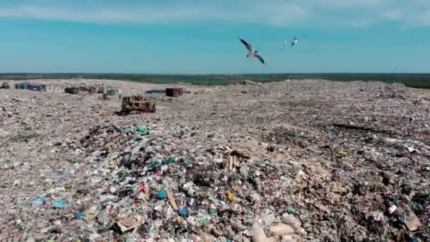 Бульдозер працює на горі сміття на звалищі — стокове відео