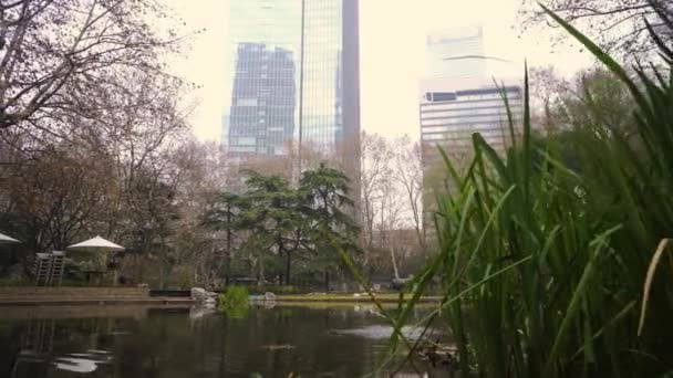 Parque con un estanque en el fondo de rascacielos en el centro de Shanghai, China — Vídeo de stock