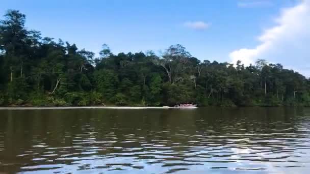 Viagem de barco ao longo do rio Kinabatangan, em Bornéu, Malásia — Vídeo de Stock