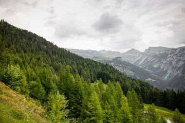 Bulutlu havada İsviçre doğası. İsviçre 'nin varış yerleri ve seyahat fikirleri. yaz tatili