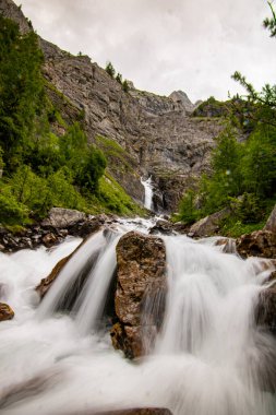 Küçük şelaleler yeşil ormanda uzun süre akmaya devam ediyor. Su hareket halinde - İsviçre