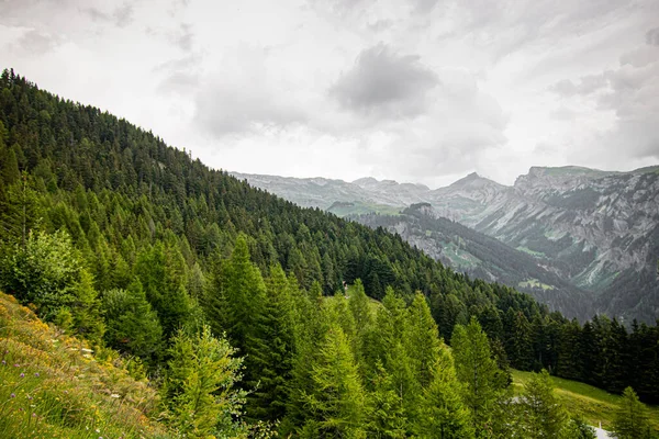 Bulutlu havada İsviçre doğası. İsviçre 'nin varış yerleri ve seyahat fikirleri. yaz tatili