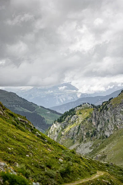 Wijst de natuur op troebel veertje. Zwitserse bestemmingen en reisidee — Stockfoto