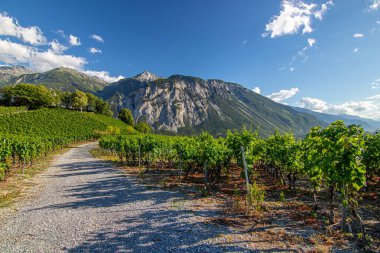 Varen şarap bölgesi, İsviçre Alpleri sıraları ile güzel manzara