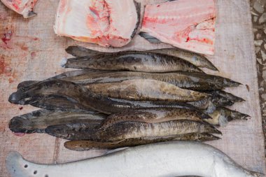 Balık lehimlemek içinde çarşı, Luang Prabang Pazar, demokratik Lao Halk Cumhuriyeti.