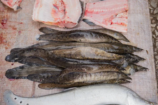 Balık lehimlemek içinde çarşı, Luang Prabang Pazar, demokratik Lao Halk Cumhuriyeti.