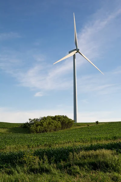 Kırsal Illinois rüzgar çiftliği rüzgar türbini.