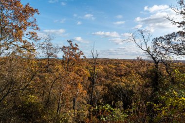 Indiana dunes state Park, Indiana güzel sonbahar renkleri.