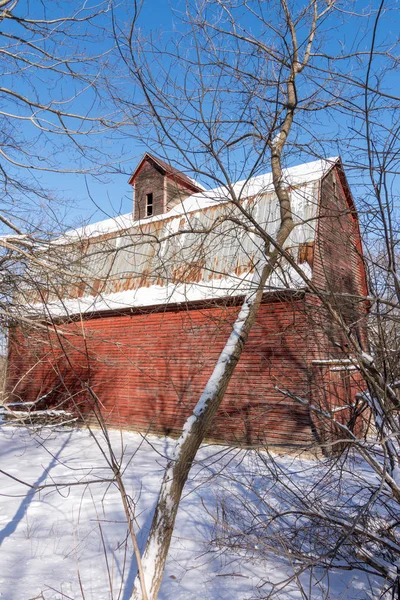 残酷な寒い冬の日の森の中に隠された大きな赤い納屋 — ストック写真