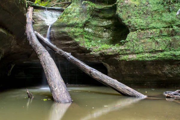 Kaskaskia Canyon Detalhe Parque Estadual Rock Faminto Illinois — Fotografia de Stock