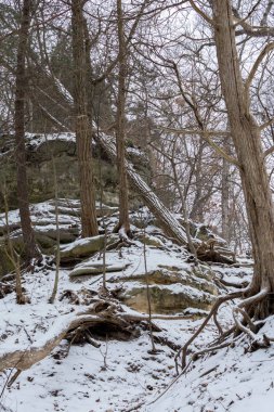 Bir kış harikalar diyarı, açlıktan Rock state park, Illinois, ABD.