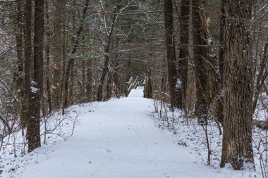 Kar merdiven (geçit) açlıktan Rock state park acı soğuk kış gününde kaplı.