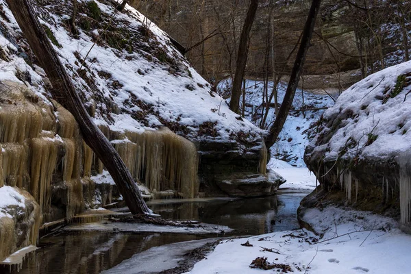 Guardando Indietro Alle Formazioni Ghiaccio Neve Nel Canyon Lasalle Parco — Foto Stock