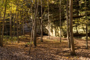 Sonbaharda yapraklar kumtaşı kanyon duvarları. Aç Rock state park, Illinois.