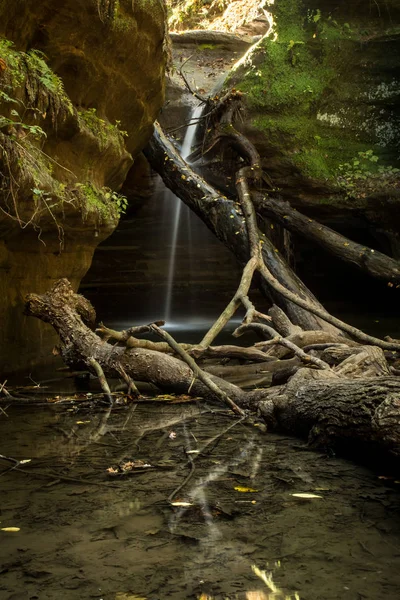 Luz Brilhando Água Cascata Sobre Cachoeira Desfiladeiro Kaskaskia Parque Estadual — Fotografia de Stock