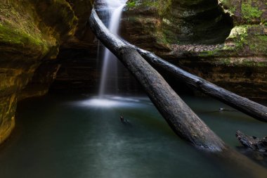Kaskaskia kanyonerken ilkbahar, Aç Rock State Park, Illinois.