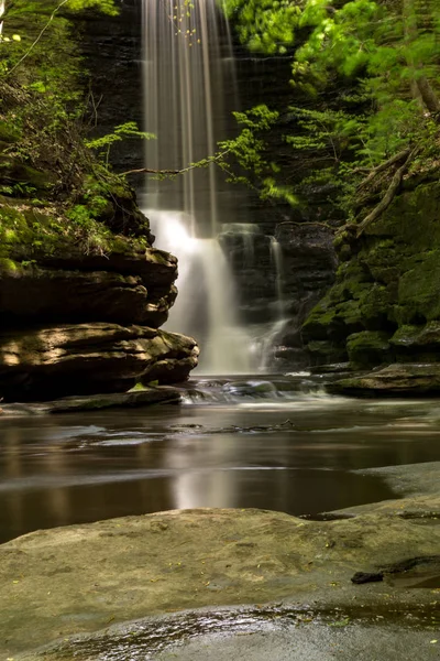 Lago Cae Parque Estatal Matthiessen Illinois Principios Primavera —  Fotos de Stock