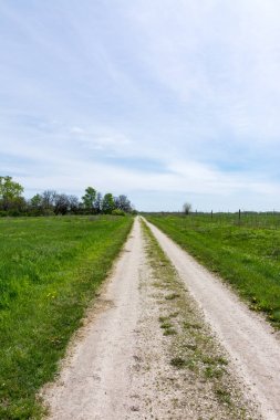 Güzel bir bahar gününde Wilmington, Illinois'deki Midewin tallgrass çayırı çevresindeki patikalar.