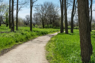 Güzel bir bahar gününde Wilmington, Illinois'deki Midewin tallgrass çayırı çevresindeki patikalar.