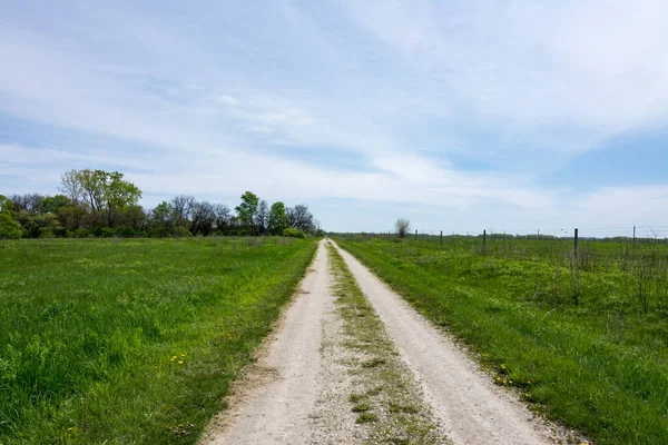 Trails Midewin Tallgrass Prairie Wilmington Illinois Beautiful Spring Day — Stock Photo, Image