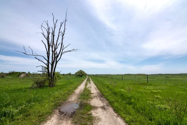 Trails Midewin Tallgrass Prairie Wilmington Illinois Beautiful Spring Day — Stock Photo, Image