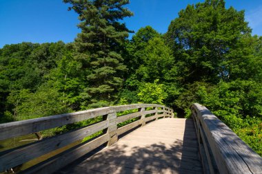 Sıcak bir bahar ve yaz sabahının erken saatlerinde derenin üzerindeki tahta köprü. Kuzey Illinois 'deki Açlıktan Ölen Rock State Park.