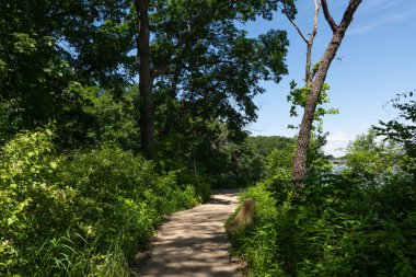 Sıcak ve güneşli bir bahar sabahında, Kuzey Central Illinois 'deki aç Rock State Parkı' nda patika / patika..