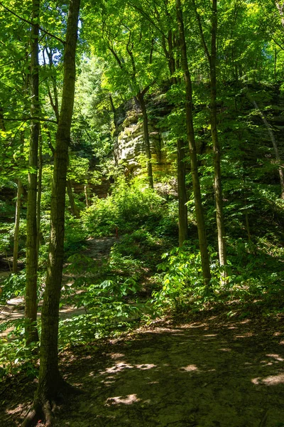 Sentiero Sentiero Attraverso Parco Stato Roccioso Affamato Illinois Centro Settentrionale — Foto Stock