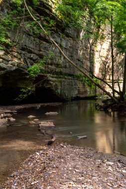 Illinois Kanyonu 'nda ilkbaharın sonlarında açlık çeken Rock State Park, Illinois