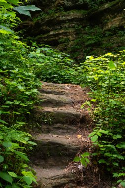 Sıcak ve güneşli bir bahar sabahında, Kuzey Central Illinois 'deki aç Rock State Parkı' nda patika / patika..
