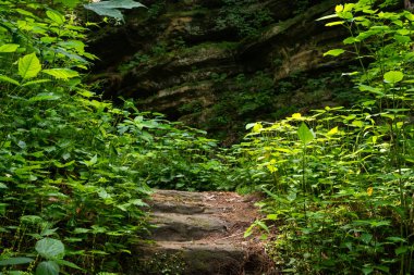 Sıcak ve güneşli bir bahar sabahında, Kuzey Central Illinois 'deki aç Rock State Parkı' nda patika / patika..