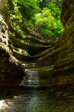 Aurora Kanyonu, bahar sonlarında güneş ışığı, açlık çeken Rock State Park, Illinois.