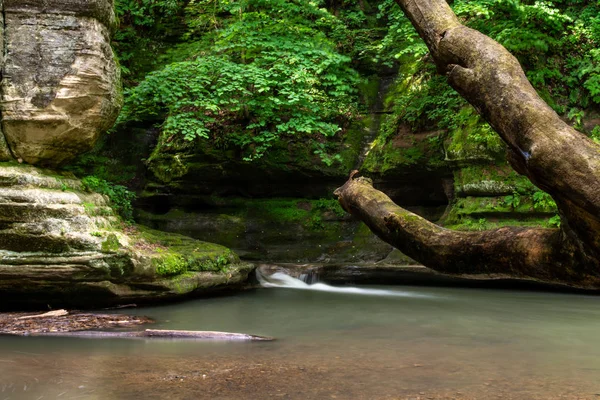 Late Lente Illinois Canyon Uitgehongerd Rock State Park Illinois — Stockfoto