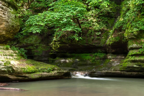 Illinois Kanyonu Nda Ilkbaharın Sonlarında Açlık Çeken Rock State Park — Stok fotoğraf