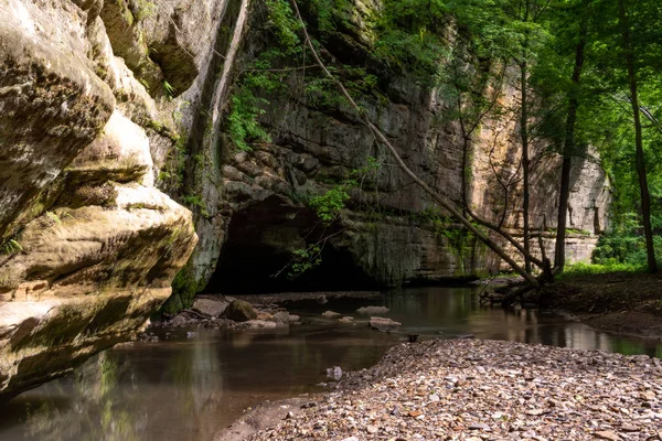 Illinois Kanyonu Nda Ilkbaharın Sonlarında Açlık Çeken Rock State Park — Stok fotoğraf