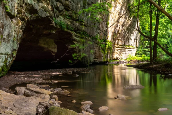 Illinois Kanyonu Nda Ilkbaharın Sonlarında Açlık Çeken Rock State Park — Stok fotoğraf