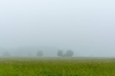 Wilmington National Tall Grass Prairie, Illinois'de geç bir ilkbahar/yaz sabahı yoğun sis.