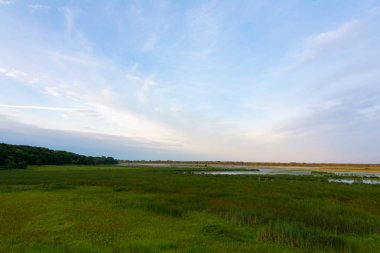 Sunr'daki Dixon Waterfowl Refuge'deki gözlem güvertesinden görünüm