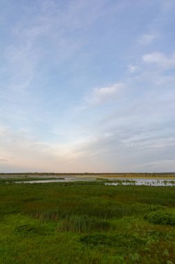 Sunr'daki Dixon Waterfowl Refuge'deki gözlem güvertesinden görünüm