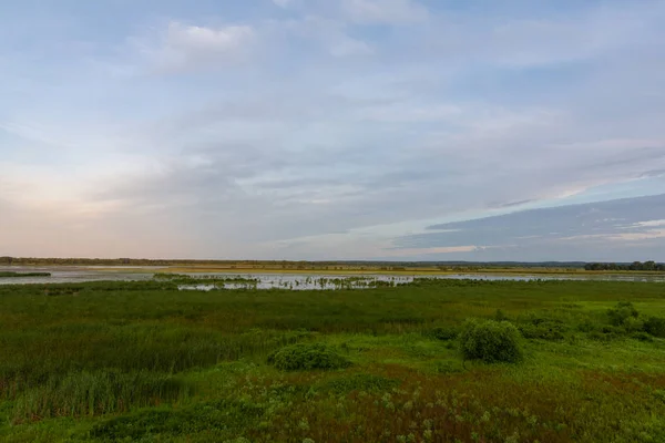 View from the observation deck in Dixon Waterfowl Refuge at sunr — Stock Photo, Image