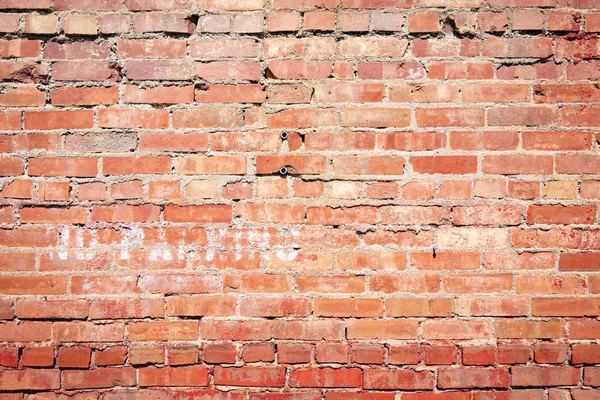 Alte Ziegelmauer im hinteren Grundstück. — Stockfoto