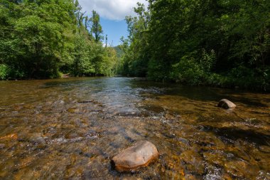 Su yavaşça Abrams Creek aşağı akan. Dumanlı Dağlar Nationa
